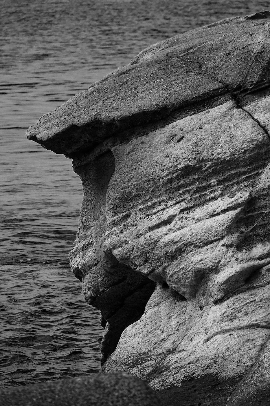 館山の海猿・猿顔石